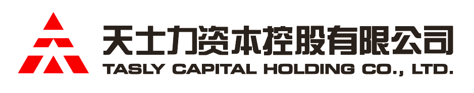 乐玩LEWIN资本控股有限公司